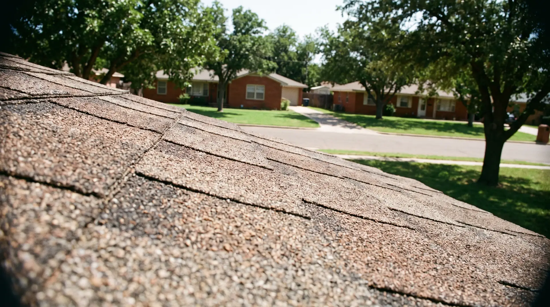 Close detail of architectural asphalt shingle granule blend in bright West Texas sun